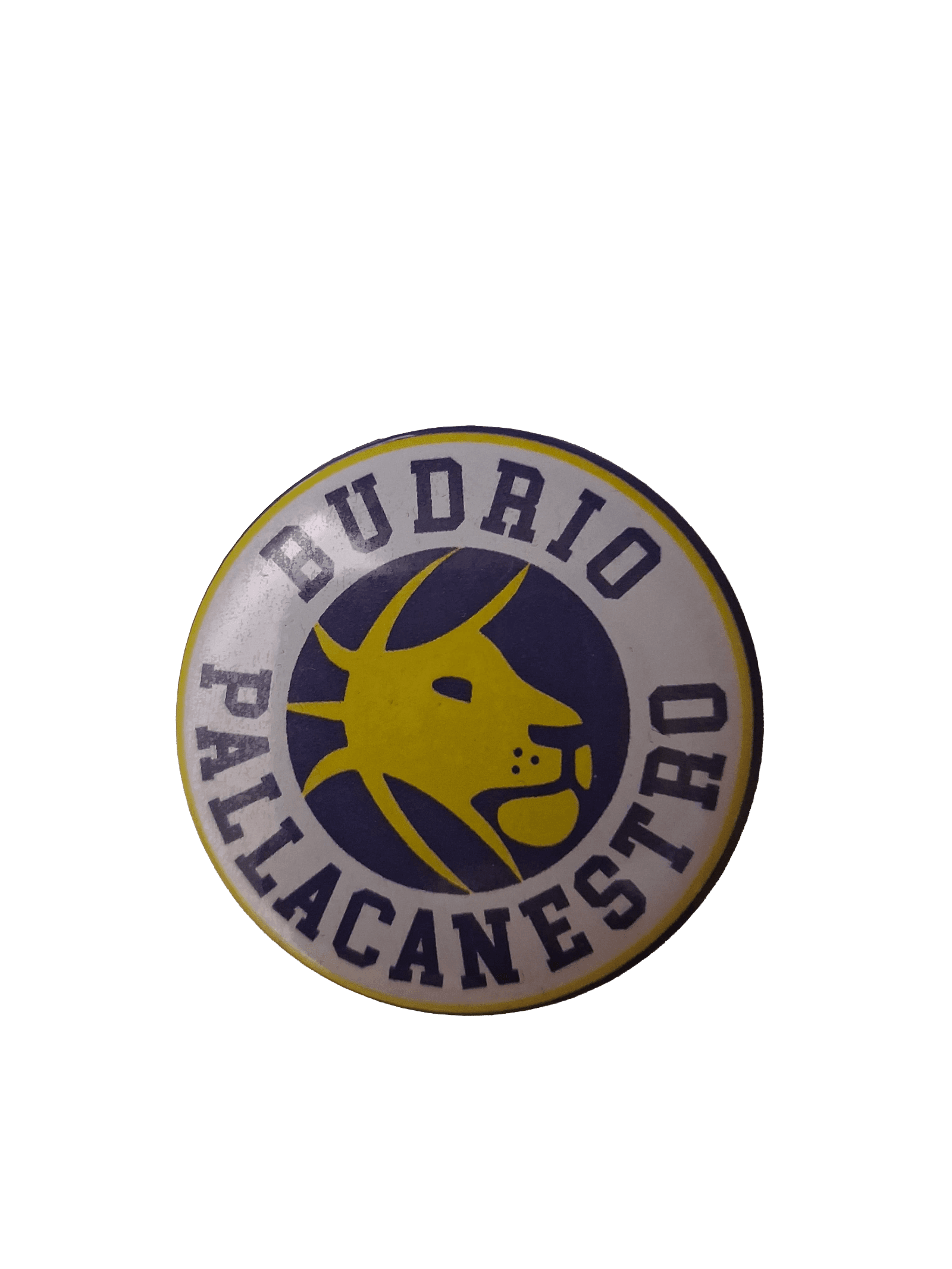 Spilla Pallacanestro Budrio